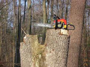 tools-needed-for-cutting-your-own-firewood-300x225